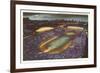 Soldier Field, Chicago, Illinois-null-Framed Premium Giclee Print