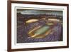 Soldier Field, Chicago, Illinois-null-Framed Premium Giclee Print