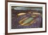 Soldier Field, Chicago, Illinois-null-Framed Art Print