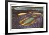 Soldier Field, Chicago, Illinois-null-Framed Art Print