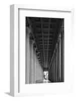 Soldier Field Colonnade Chicago BW-Steve Gadomski-Framed Photographic Print