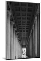 Soldier Field Colonnade Chicago BW-Steve Gadomski-Mounted Photographic Print