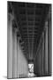 Soldier Field Colonnade Chicago BW-Steve Gadomski-Mounted Photographic Print