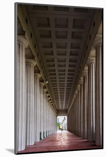 Soldier Field Colunnade-Steve Gadomski-Mounted Photographic Print