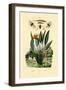 Soldier Flies, 1833-39-null-Framed Giclee Print