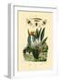 Soldier Flies, 1833-39-null-Framed Giclee Print
