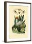 Soldier Flies, 1833-39-null-Framed Giclee Print