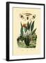 Soldier Flies, 1833-39-null-Framed Giclee Print