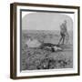 Soldier Leaving His Dead Horse on the March to Bloemfontein, South Africa, Boer War, 1901-Underwood & Underwood-Framed Giclee Print
