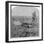 Soldier Leaving His Dead Horse on the March to Bloemfontein, South Africa, Boer War, 1901-Underwood & Underwood-Framed Giclee Print