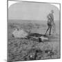 Soldier Leaving His Dead Horse on the March to Bloemfontein, South Africa, Boer War, 1901-Underwood & Underwood-Mounted Giclee Print