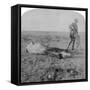 Soldier Leaving His Dead Horse on the March to Bloemfontein, South Africa, Boer War, 1901-Underwood & Underwood-Framed Stretched Canvas