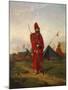 Soldier of Army of General Justo Jose' Urquiza by Leon Palliere (1823-1887), Painting-null-Mounted Giclee Print