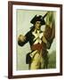 Soldier of the Revolution, 1876-George Willoughby Maynard-Framed Giclee Print