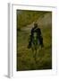 Soldier on Horseback-Giovanni Fattori-Framed Art Print