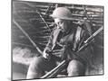 Wood Mount