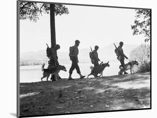 Soldiers and their Dogs Walking along the Shore-null-Mounted Photographic Print