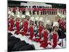 Soldiers at Trooping Colour 2012, Queen's Birthday Parade, Horse Guards, Whitehall, London, England-Hans Peter Merten-Mounted Photographic Print