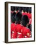 Soldiers at Trooping Colour 2012, Queen's Official Birthday Parade, Horse Guards, London, England-Hans Peter Merten-Framed Photographic Print