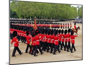 Soldiers at Trooping Colour 2012, Queen's Official Birthday Parade, Horse Guards, London, England-Hans Peter Merten-Mounted Photographic Print