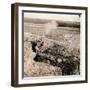 Soldiers Firing their Weapons from Trenches-null-Framed Photographic Print
