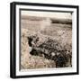 Soldiers Firing their Weapons from Trenches-null-Framed Photographic Print