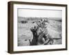 Soldiers in Trenches Firing Rifles-null-Framed Photographic Print