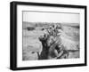 Soldiers in Trenches Firing Rifles-null-Framed Photographic Print