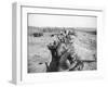 Soldiers in Trenches Firing Rifles-null-Framed Photographic Print
