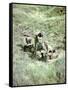 Soldiers of the 3rd Canadian Infantry Division with a Mortar Near Juno Beach-null-Framed Stretched Canvas