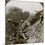 Soldiers of the 5th Army Killed During the German Offensive of 1918, Albert, France-null-Mounted Photographic Print