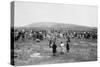 Soldiers of the French Foreign Legion, Syria, 20th Century-null-Stretched Canvas