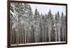 Soldiers of Winter-Philippe Sainte-Laudy-Framed Photographic Print