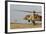 Soldiers Practice External Cargo Mounting on a Uh-60 Yanshuf of the Israel Air Force-Stocktrek Images-Framed Photographic Print