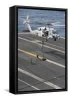 Soldiers Rappel from an Mh-60S Sea Hawk Helicopter-null-Framed Stretched Canvas