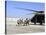 Soldiers Rush a Simulated Casualty to a UH-60 Blackhawk Helicopter-Stocktrek Images-Stretched Canvas