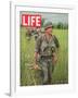 Soldiers Walking Through Grass in Vietnam, June 12, 1964-Larry Burrows-Framed Photographic Print