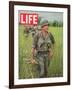 Soldiers Walking Through Grass in Vietnam, June 12, 1964-Larry Burrows-Framed Photographic Print