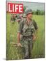 Soldiers Walking Through Grass in Vietnam, June 12, 1964-Larry Burrows-Mounted Photographic Print