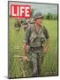 Soldiers Walking Through Grass in Vietnam, June 12, 1964-Larry Burrows-Mounted Premium Photographic Print