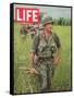 Soldiers Walking Through Grass in Vietnam, June 12, 1964-Larry Burrows-Framed Stretched Canvas