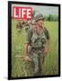 Soldiers Walking Through Grass in Vietnam, June 12, 1964-Larry Burrows-Framed Photographic Print