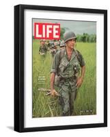 Soldiers Walking Through Grass in Vietnam, June 12, 1964-Larry Burrows-Framed Photographic Print