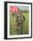 Soldiers Walking Through Grass in Vietnam, June 12, 1964-Larry Burrows-Framed Photographic Print