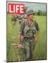 Soldiers Walking Through Grass in Vietnam, June 12, 1964-Larry Burrows-Mounted Photographic Print