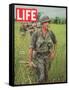 Soldiers Walking Through Grass in Vietnam, June 12, 1964-Larry Burrows-Framed Stretched Canvas