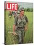 Soldiers Walking Through Grass in Vietnam, June 12, 1964-Larry Burrows-Stretched Canvas