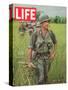 Soldiers Walking Through Grass in Vietnam, June 12, 1964-Larry Burrows-Stretched Canvas