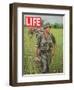 Soldiers Walking Through Grass in Vietnam, June 12, 1964-Larry Burrows-Framed Photographic Print