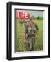 Soldiers Walking Through Grass in Vietnam, June 12, 1964-Larry Burrows-Framed Photographic Print